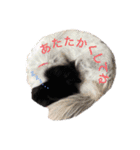 犬のくーちゃん♡（個別スタンプ：19）
