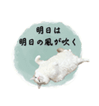 やる気のないラグドールルイちゃん（個別スタンプ：6）