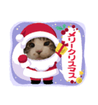 クリスマスはなちゃん（個別スタンプ：4）