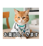 可愛い猫で日常会話を楽しむ（個別スタンプ：8）