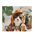 可愛い猫で日常会話を楽しむ（個別スタンプ：17）