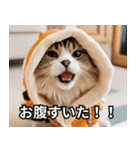 可愛い猫で日常会話を楽しむ（個別スタンプ：24）