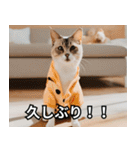 可愛い猫で日常会話を楽しむ（個別スタンプ：25）