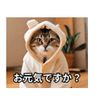 可愛い猫で日常会話を楽しむ（個別スタンプ：26）