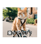 可愛い猫で日常会話を楽しむ（個別スタンプ：28）