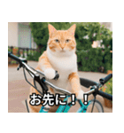 可愛い猫で日常会話を楽しむ（個別スタンプ：31）