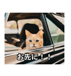 可愛い猫で日常会話を楽しむ（個別スタンプ：32）