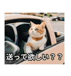 可愛い猫で日常会話を楽しむ（個別スタンプ：33）