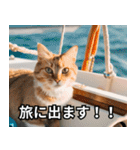 可愛い猫で日常会話を楽しむ（個別スタンプ：36）