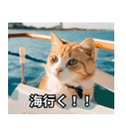 可愛い猫で日常会話を楽しむ（個別スタンプ：37）