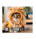 可愛い猫で日常会話を楽しむ（個別スタンプ：38）