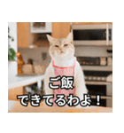 可愛い猫で日常会話を楽しむ（個別スタンプ：40）