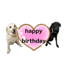 happy birthday！ Cindy＆Lewis（個別スタンプ：18）