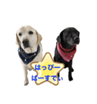 happy birthday！ Cindy＆Lewis（個別スタンプ：32）