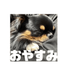 出湯スタ（個別スタンプ：7）
