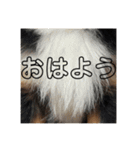 出湯スタ（個別スタンプ：16）