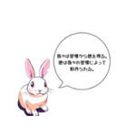 思想強めのうさぎさん（個別スタンプ：3）