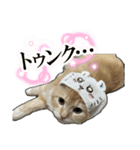 ささみデスゥ（個別スタンプ：24）