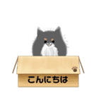 うちのポメラニアンスタンプだよ（個別スタンプ：1）