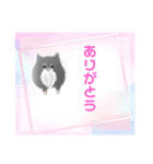 うちのポメラニアンスタンプだよ（個別スタンプ：2）