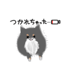 うちのポメラニアンスタンプだよ（個別スタンプ：4）