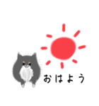 うちのポメラニアンスタンプだよ（個別スタンプ：10）