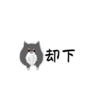 うちのポメラニアンスタンプだよ（個別スタンプ：12）
