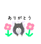 うちのポメラニアンスタンプだよ（個別スタンプ：14）