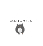 うちのポメラニアンスタンプだよ（個別スタンプ：17）