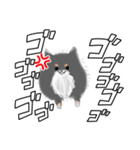 うちのポメラニアンスタンプだよ（個別スタンプ：20）