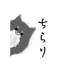 うちのポメラニアンスタンプだよ（個別スタンプ：27）