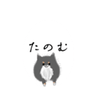 うちのポメラニアンスタンプだよ（個別スタンプ：31）