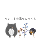 うちのポメラニアンスタンプだよ（個別スタンプ：33）