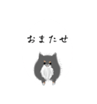 うちのポメラニアンスタンプだよ（個別スタンプ：35）