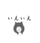 うちのポメラニアンスタンプだよ（個別スタンプ：39）