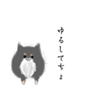 うちのポメラニアンスタンプだよ（個別スタンプ：40）