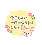 【やさしい敬語】可愛いチワワちゃん（個別スタンプ：19）