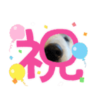 ピレニーズの小太郎（個別スタンプ：7）