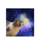 ひろねこ Cat and Talkの愉快な仲間たち（個別スタンプ：16）