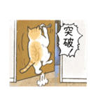 猫の年末年始とクリスマススタンプ（再販）（個別スタンプ：36）