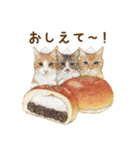 ほっこり猫と食べ物9（個別スタンプ：8）