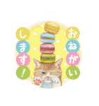 ほっこり猫と食べ物9（個別スタンプ：13）