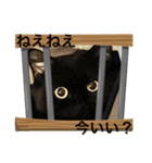 黒猫 ルナ院長130にゃんめ（個別スタンプ：7）