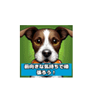 笑う犬、大集合（個別スタンプ：10）