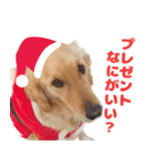 アイルとアロのクリスマス+お正月（個別スタンプ：6）