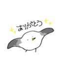 やわらかカモメ（個別スタンプ：4）