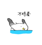 やわらかカモメ（個別スタンプ：8）