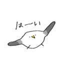 やわらかカモメ（個別スタンプ：9）