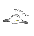 やわらかカモメ（個別スタンプ：12）