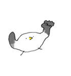 やわらかカモメ（個別スタンプ：21）